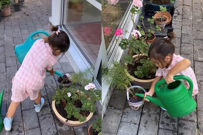 Nữ hoàng giải trí Hồ Ngọc Hà khoe ảnh con gái Lisa chăm chỉ tưới cây