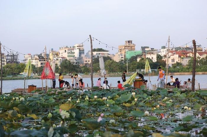 Trước đây, hồ Đầm Hồng Quảng Bá được xem là cái nôi của mùa sen của Hà nội, nay ngoài sen ra tại đây còn có dịch vụ xem cá Koi trải nghiểm