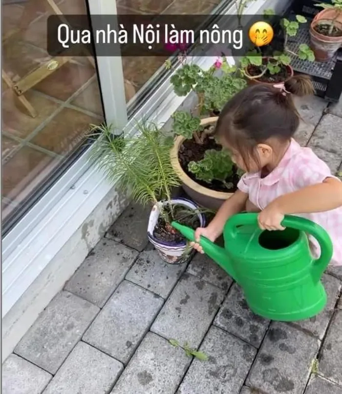 Khu vườn xanh mướt trong biệt thự nhà chồng Hà Hồ ở Thụy Điển