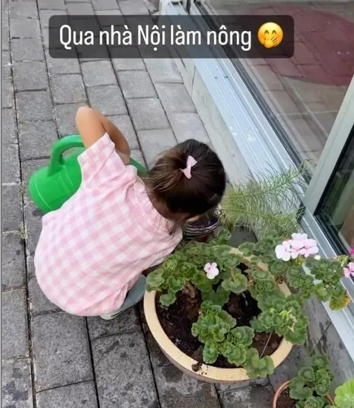 Khu vườn xanh mướt trong biệt thự nhà chồng Hà Hồ ở Thụy Điển