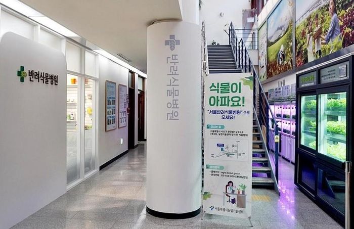 Bệnh viện Đa khoa Điều trị Thực vật nằm trong Trung tâm Công nghệ Nông nghiệp Seoul. Ảnh: Choi Jae Hee, Koreaherald.com