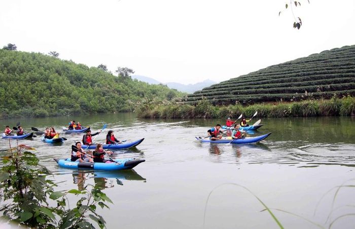  Du khách tham quan du lịch trải nghiệm tại đảo chè xã Thanh Thịnh, Thanh Chương. Ảnh Tư liệu Báo Nghệ An (Mai Hoa) 