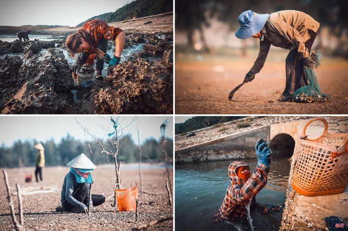 Những phận đời đục hàu mưu sinh ở Lạch Kèn.