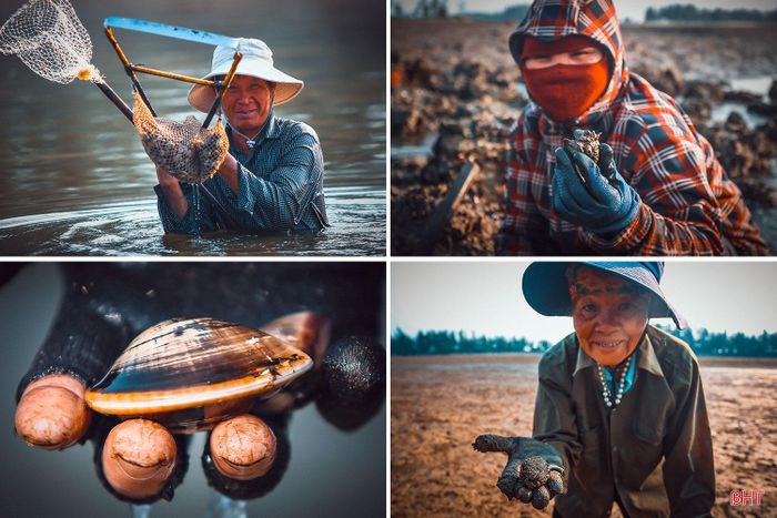 Niềm vui nhỏ nhoi của những người đục hàu mưu sinh ở cửa biển Lạch Kèn.