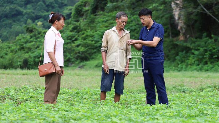 Cán bộ Trung tâm Dịch vụ nông nghiệp huyện Võ Nhai hướng dẫn nông dân kỹ thuật trồng đậu tương đặc sản giống Cúc Bóng.
