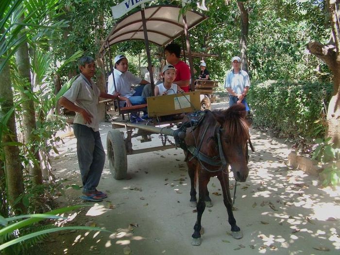 Xe ngựa ở Nha Trang giờ chỉ còn trong ký ức hoặc trong các tour phục vụ du lịch.