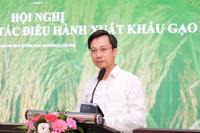 Theo ông Trần Duy Đông, đến hết tháng 7/2023, Việt Nam xuất khẩu khoảng 4,83 triệu tấn gạo, tăng 18,7% về lượng và tăng 29,6% về trị giá so với cùng kỳ năm 2022. (Ảnh: Đức Duy/Vietnam+)