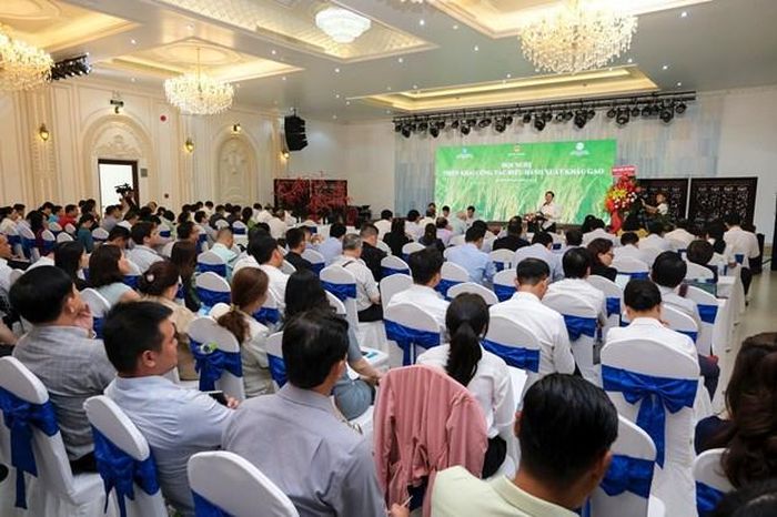 Các đại biểu tham gia hội nghị về xuất khẩu gạo. (Ảnh: Đức Duy/Vietnam+)