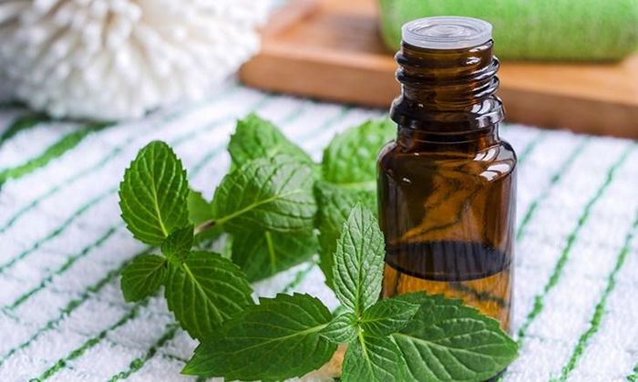 Sử dụng tinh dầu cũng có tác dụng ngăn ngừa muỗi. Ảnh minh họa