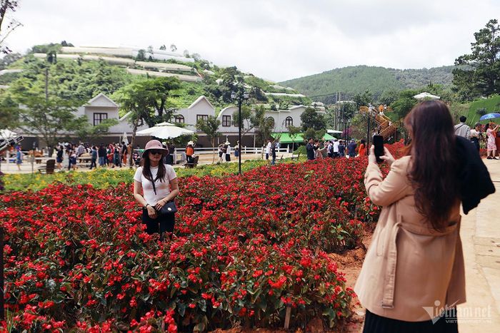 Du khách tạo dáng bên vườn hoa ở Đà Lạt.