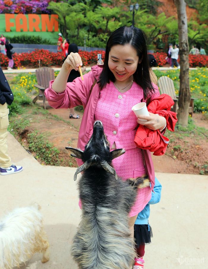 Chị Quỳnh cảm thấy an toàn khi cho các loại động vật ăn.