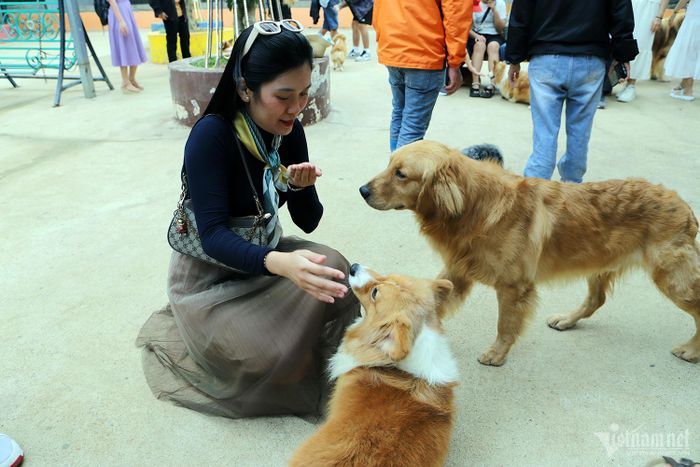Nữ du khách Lê Thị Ngọc Hảo thoải mái khi tiến lại gần các thú cưng vì chúng hiền và thân thiện.