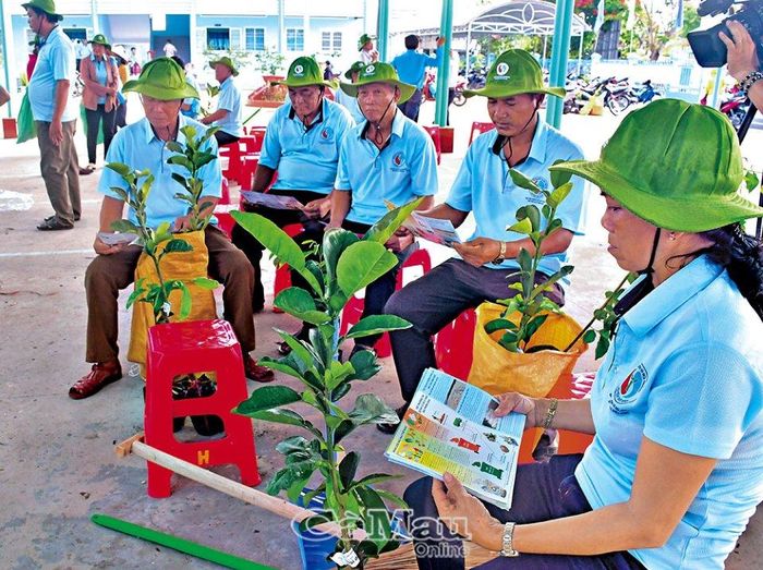 Sau khi nhận cây trồng, người dân được hướng dẫn cách phân loại rác thải sinh hoạt.