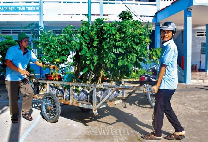 Chương trình còn tổ chức trồng cây xanh cặp tuyến lộ, tạo mỹ quan.