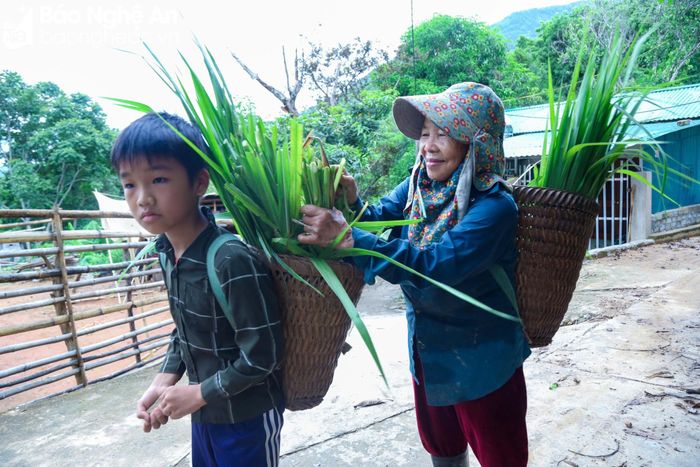  Dù cuộc sống đang dần phát triển, nhưng chiếc gùi trong đời sống tinh thần của đồng bào dân tộc ở miền Tây Nghệ An vẫn giữ nguyên được giá trị văn hóa. Đặc biệt, người phụ nữ khi đi chợ đều sử dụng gùi thay cho giỏ và làn nhựa, điều này không chỉ giữ gìn văn hóa mà còn góp phần giảm rác thải nhựa ra môi trường. Ảnh: Đình Tuyên 