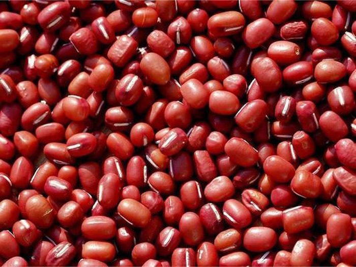 Thang cá chép + xích tiểu đậu chữa phụ nữ mang thai thủy thũng (phù nề).