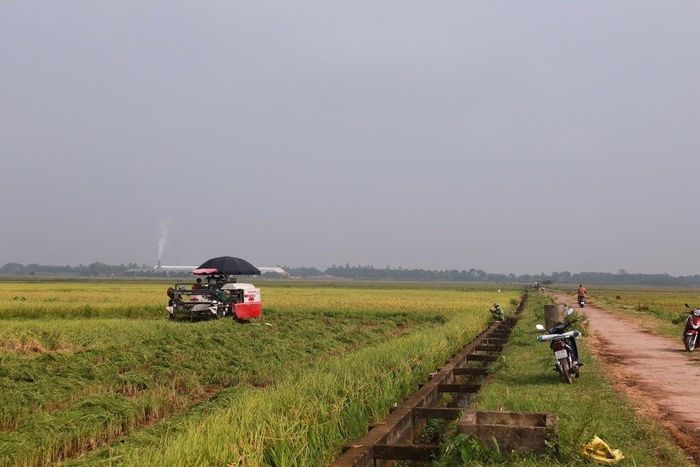 Nguồn vốn vay từ Quỹ hỗ trợ phát triển HTX giúp HTX dịch vụ nông nghiệp và điện năng Vĩnh Lại mua máy móc thiết bị hiện đại để sản xuất lúa, mang lại giá trị kinh tế cao.