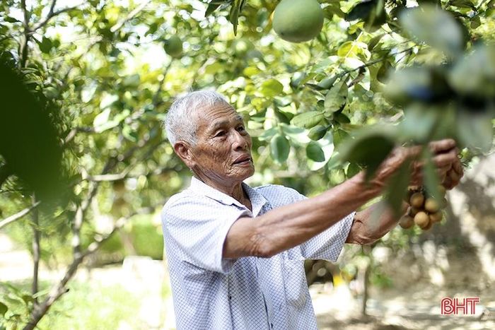 Ở vị trí công tác nào, ông Thuyn cũng phát huy phẩm chất “Bộ đội cụ Hồ” làm hết sức mình, trách nhiệm và cống hiến cho phong trào chung; được bà con địa phương yêu quý, kính trọng.