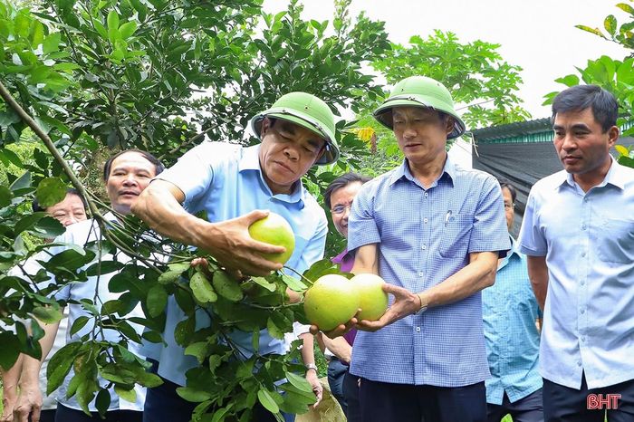 Chủ tịch UBND tỉnh Võ Trọng Hải kiểm tra tiến độ xây dựng NTM ở Hương Khê.