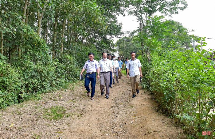 Lãnh đạo Văn phòng Điều phối NTM tỉnh thường xuyên đôn đốc đẩy nhanh tiến độ xây dựng NTM tại các địa phương.