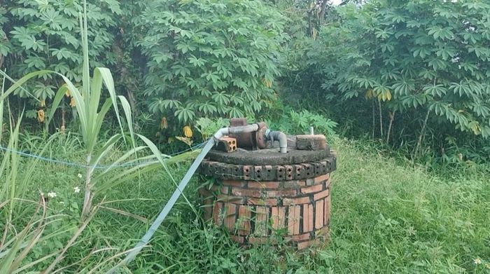  Giếng đào được gia đình ông Tây và nhiều hộ dân sử dụng nhiều năm nay, nhưng nhiễm phèn nặng, chỉ tắm giặt, còn ăn uống phải mua nước bình 