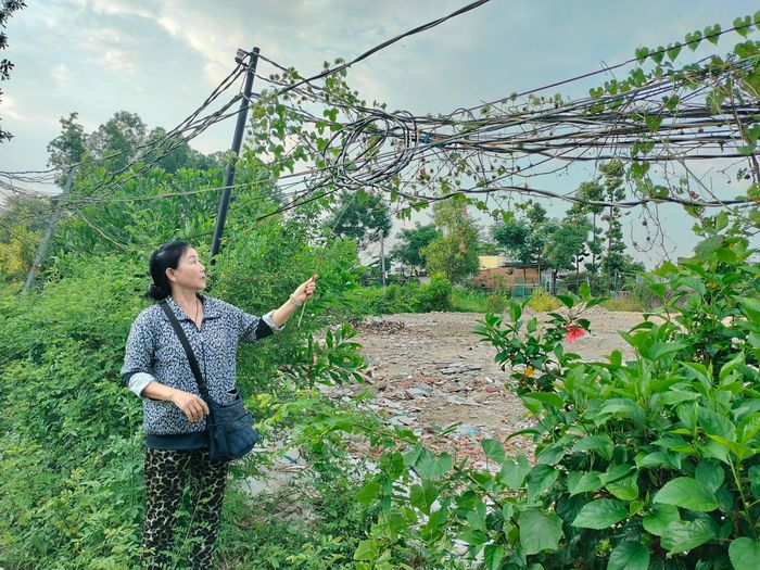 Bà Đinh Thị Cẩm Nhung, tổ trưởng tổ 10, khu phố 2 (phường Tam Hiệp) bức xúc vì hàng chục năm nay, gia đình bà và các hộ dân phải kéo điện nhờ 