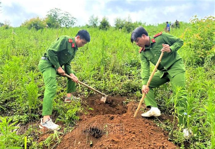 Ðoàn viên thanh niên Công an huyện Tuần Giáo giúp người dân xã Pú Xi đào hố trồng cây mắc ca. Ảnh: C.T.V