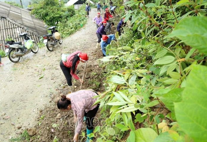  Dự án 8 đang thực sự mở ra nhiều cơ hội mới cho phụ nữ vùng đồng bào dân tộc thiểu số như Trung Chải. 