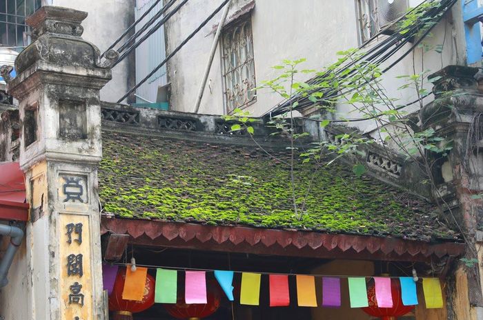 Rêu phong trên mái cổng ngõ 564 Thụy Khuê (quận Tây Hồ).