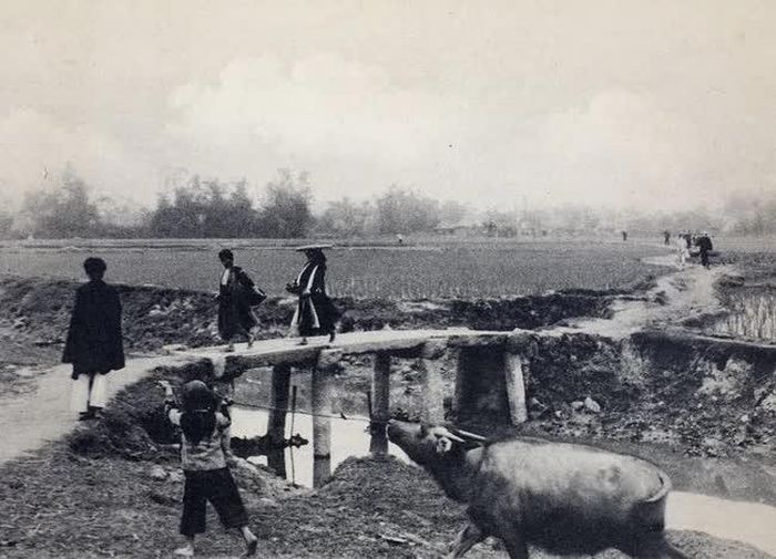 Cầu đá cũng phổ biến ở Bắc kỳ