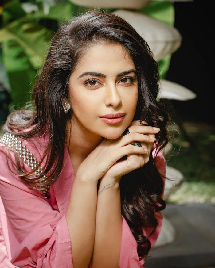 Sau 15 năm kể từ ngày phim lên sóng, Avika Gor hiện đã trở thành ngôi sao hạng A ở Bollywood. Avika là một trong những sao nữ trẻ thành công nhất tại đất nước của cô.