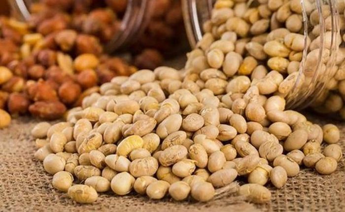 Đậu nành chứa các axit amin thiết yếu tăng cường các lợi khuẩn, giảm nguy cơ ung thư đại trực tràng.