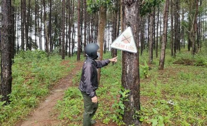 Vị trí lô đất tranh chấp trong vụ án do ông Sớm thụ lý, xét xử.