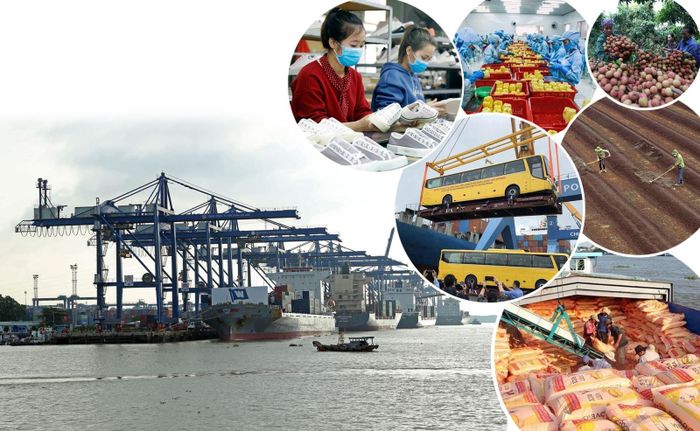 Sau hơn 35 năm tiến hành công cuộc đổi mới, nước ta đã đạt được những thành tựu to lớn. Đất nước đã ra khỏi tình trạng kém phát triển, nền kinh tế tăng trưởng nhanh.