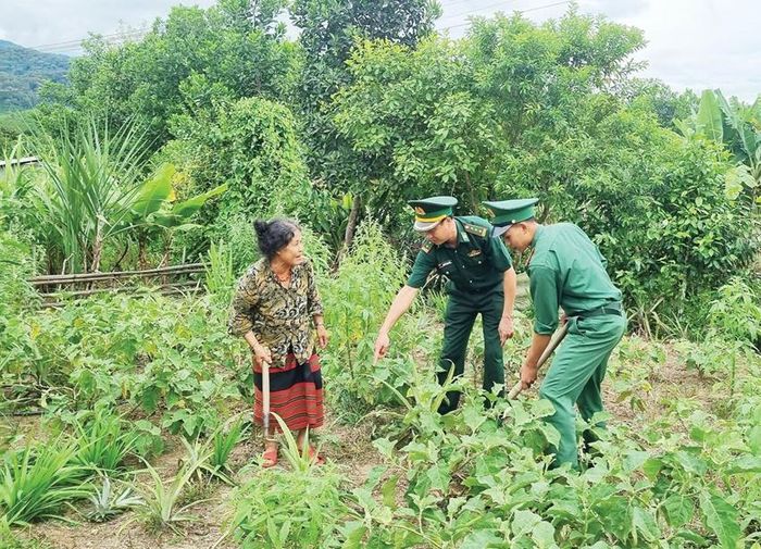 Hướng dẫn người dân cách chăm sóc vườn tược 