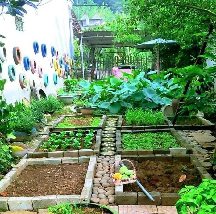 Từng ô gạch được xếp ngay ngắn để dễ dàng cho người chăm sóc vườn rau.