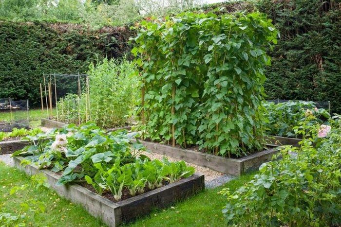 Khi có đất, bạn hãy dành thời gian lên ý tưởng và cách hiện thực hóa ý tưởng ấy, giúp những mảnh đất trống trở thành khu vườn mang nhiều cảm hứng và tình yêu làm vườn.