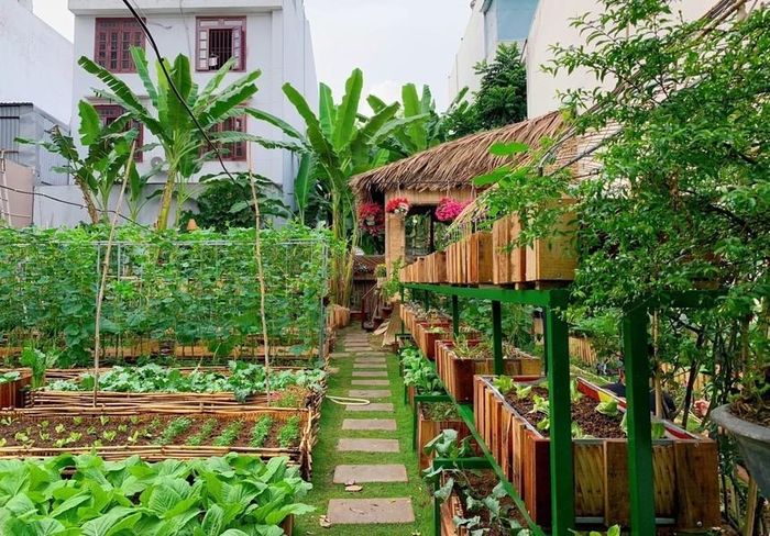 Dù khu vườn chỉ có diện tích nhỏ nhưng mẫu nhà vườn này hoàn toàn có thể chinh phục bất cứ ai, bởi sự xinh xắn đáng yêu từ những khu vườn ngay hàng thẳng lối.