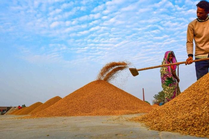 Tất cả mọi người được chia thành các nhóm.