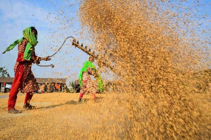 Tổng cộng, hơn 10 nghìn người làm việc tại các doanh nghiệp ở đây mỗi ngày.