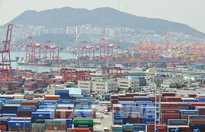 Cảng hàng hóa ở Busan, Hàn Quốc. Ảnh: AFP/TTXVN