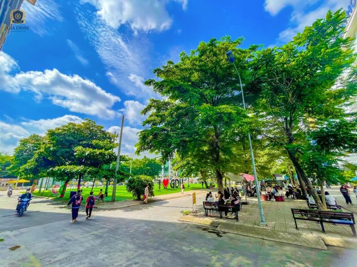 Khuôn viên trường rợp bóng cây, tạo không gian xanh mát cho sinh viên