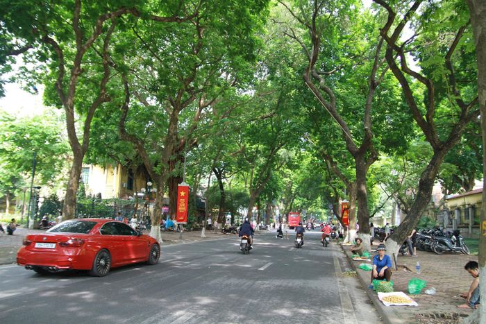 Không gian phố Phan Đình Phùng tràn đầy không khí mùa thu.