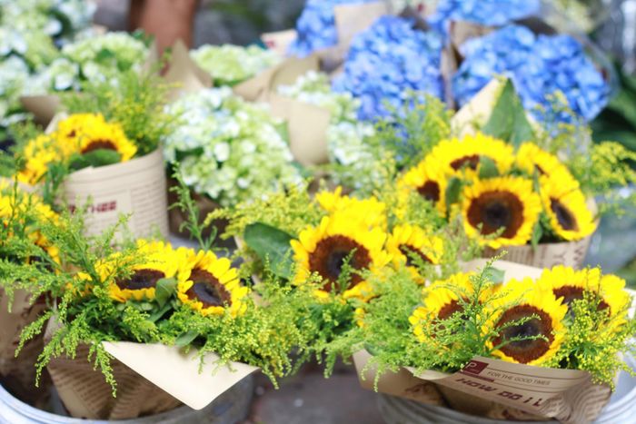 Những gam màu đa dạng của mùa thu Hà Nội.