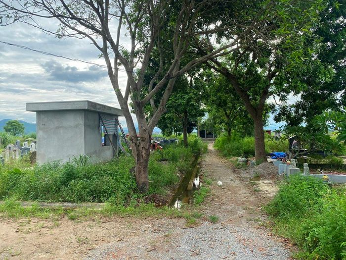 Nghĩa trang nhân dân thôn Trinh Tiết hoang tàn hơn bởi những hạng mục thi công dở dang.