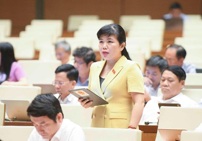 ĐBQH Nguyễn Thị Thu Hà nêu ý kiến.