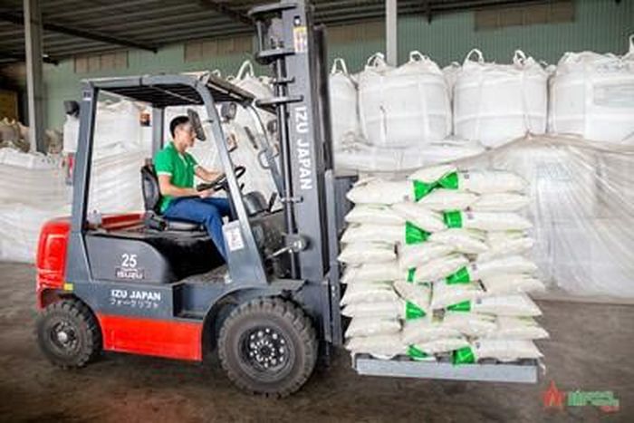 Bốc xếp gạo tại chợ gạo Bà Đắc, xã An Cư (Cái Bè, Tiền Giang). Ảnh: NGUYỄN KIỂM