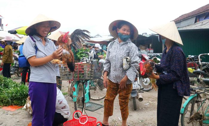  Xưa nay, mâm cỗ ngày Rằm không thể thiếu xôi hông gà luộc, nên người đi chợ Rằm phải chọn, mua được con gà làm cỗ ưng ý. Gà làm cỗ phải là những con gà trống không quá to, quá già, quá béo. Giá gà ngon ở chợ quê dao động từ 100.000 - 120.000 đồng/kg. Ảnh: Huy Thư 