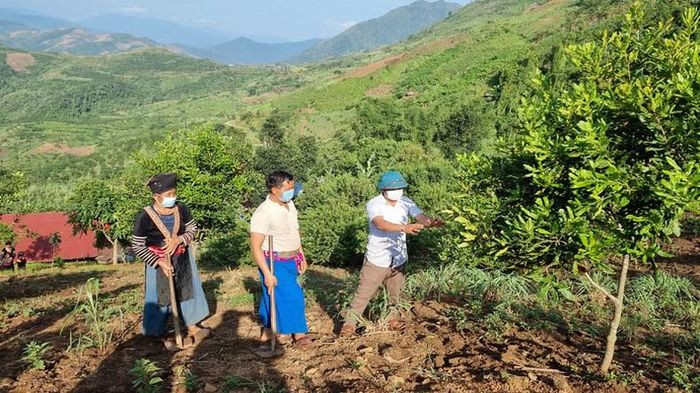  Đảng viên tiên phong tìm hướng đi mới giúp dân phát triển kinh tế, ổn định đời sống.