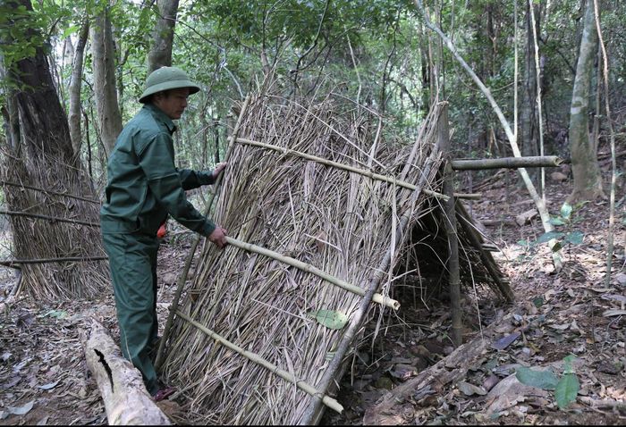 Cán bộ Khu BTTN Bắc Hướng Hóa dựng lán che nắng cho cây sâm Ngọc Linh lúc mới di thực về Sa Mù